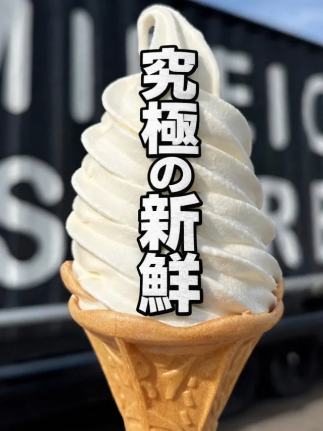 直営店舗 - mireica